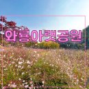 와룡아랫공원 이미지