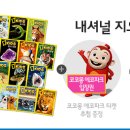 버드패밀리
