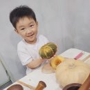 갈보리어린이집 | 유치원 어떤 선택이 최선일까