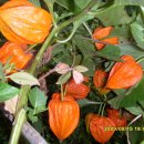 마루목장 이미지