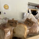 베이커리졸리