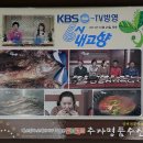 5.하추자도(1박2일) 이미지