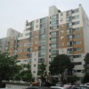 분당-233 이미지