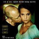 퓨어 카카오 검색결과