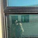 204 | [가평] 모모애견풀빌라 204호 내돈내산 솔직후기