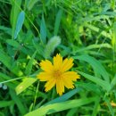 주식회사 조은메디케어 이미지