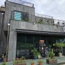 초당민들레