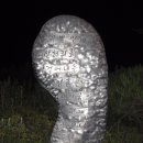 강촌에살고싶네 이미지