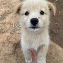 마니다믐 네이버블로그