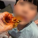 소문난야식 | 강릉중앙시장맛집 원조소문난무침회 포장 후기, 가족 야식 추천