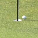포스당구클럽 | 메이저대회에서 이런 일이? 기가 막힌 LPGA AIG 여자오픈 파이널 라운드 장면