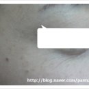 아이알(IR) 이미지
