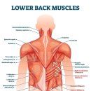 열린치유한의원 이미지