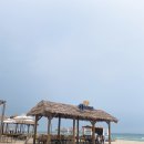 피자버스 이미지