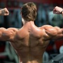 바디짐휘트니스 이미지