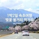 벚꽃마을부녀경로당 | 속초 여행 1박 2일 코스 추천 4월 4일 영랑호 벚꽃 개화 볼거리 먹거리