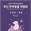 펫(PET)과 함께 이미지