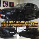 그랑 콜레오스 에스프리 알핀 누아르 실물 비교분석(한정판이 주는 고급감)