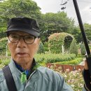 현대꽃동산