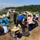 포리초등학교 이미지