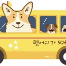 펫어디가 이미지