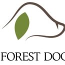 브리더독 이미지