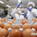 이종현농장 이미지