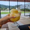 [아산 영인면]아산카페 추천 아산대형카페 스탑오버카페 방문후기(아사히볼 추천)