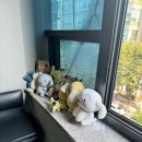 서현당구클럽 이미지