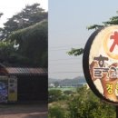 힐링상사