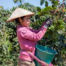 유리농장(화산) 이미지