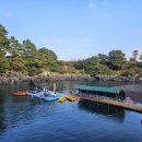 위미그라스 이미지