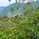 한은농장 이미지