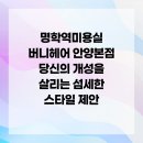 버니헤어 안양본점