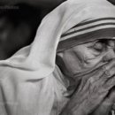 금상첨화 이미지