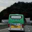 주식회사금아여행 이미지