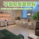 동물병원 건너편 | 구월동주말영업동물병원 구월숲동물병원 고양이 건강검진 후기