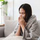 독감 재감염 될 수 있을까? 이미지