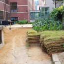 아현초교 이미지