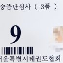 왕성태권도장 이미지