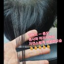 탈모응급실 리버스-다시태어나다 이미지