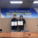 마이스링크 이미지