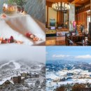 알펜시아당구장 이미지