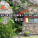 혼인지마을 | 곳 제주 전통 혼례 문화를 볼 수 있는 제주 기념물, 혼인지 마을, 혼인지 수국 개화시기, 실시간 현황공유