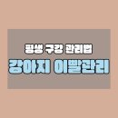 이 편한 우리 아이 구강 관리법 | 강아지 이빨 나오는 시기와 평생 구강 관리법