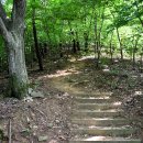 태학산자연휴양림 이미지