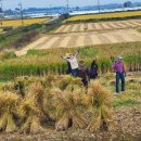 부여토종씨앗도서관협동조합 이미지