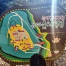 무양공원 유아숲체험원 이미지