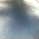 카페트세탁 스팀지니 이미지