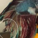 경주 동물 약국 이미지